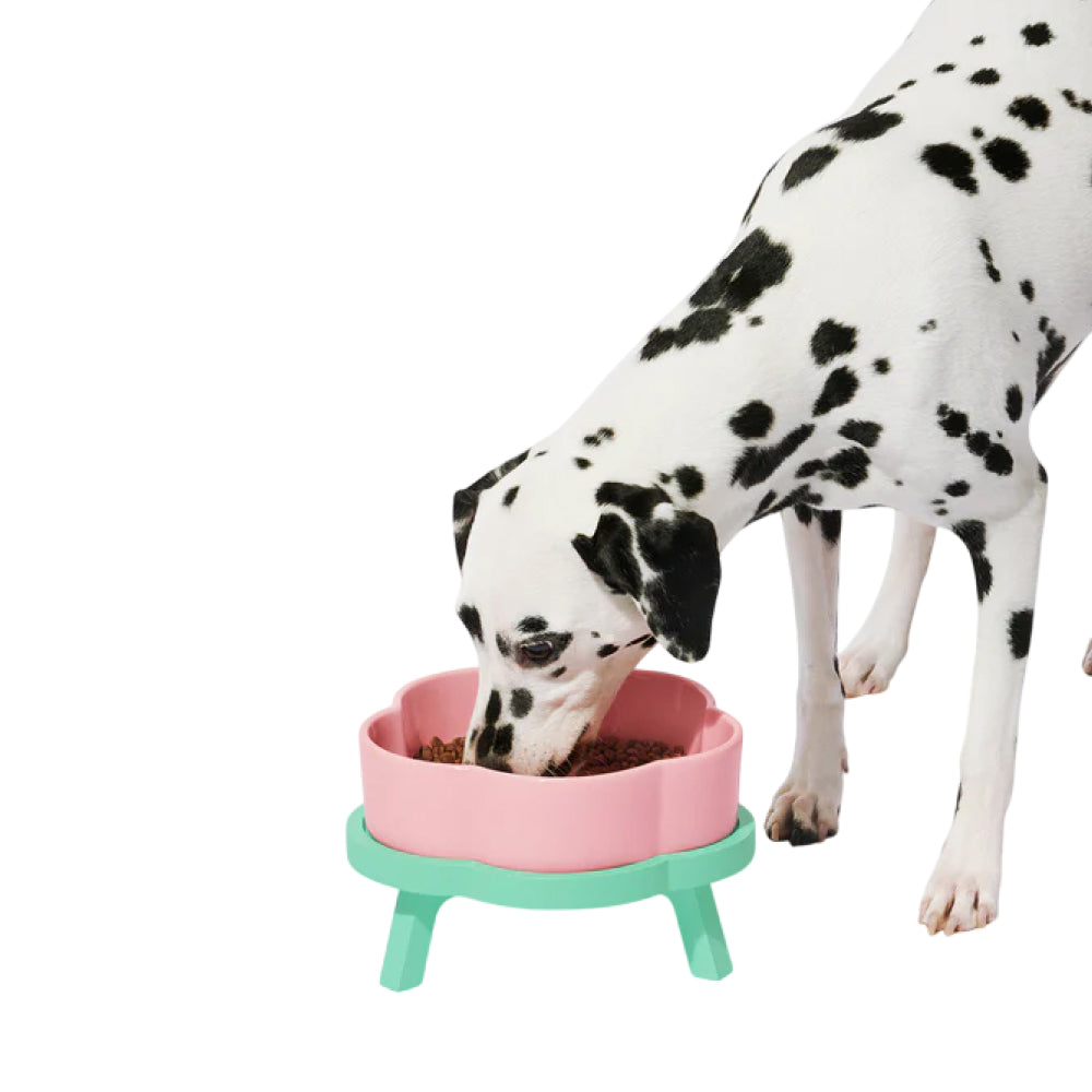 Flora Ceramic Pet Bowl