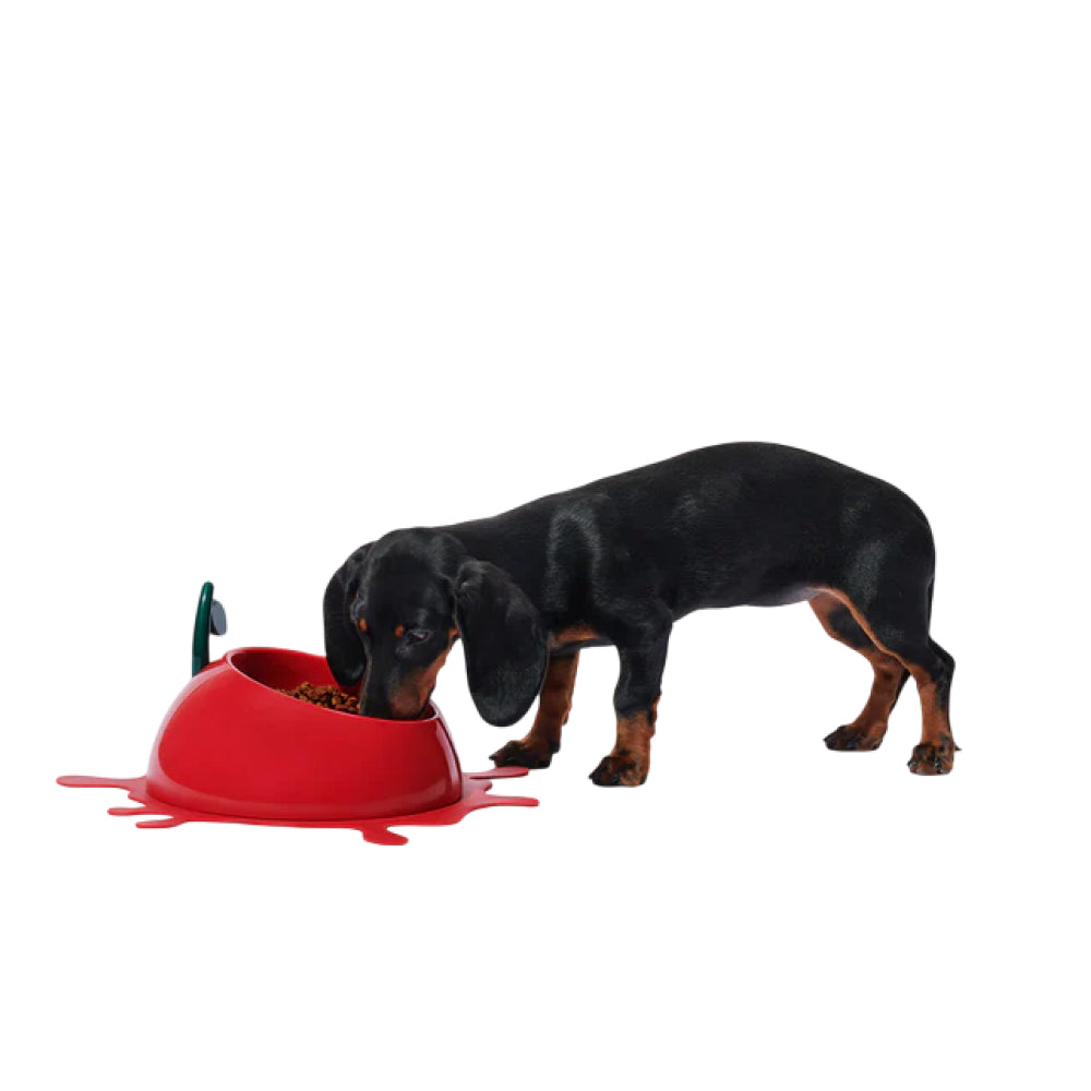 Juicy Cherry Pet Bowl , Spoon & Mat Set