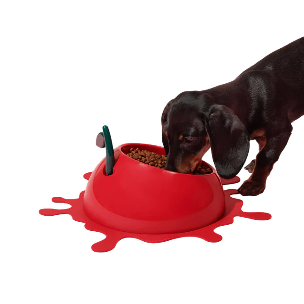 Juicy Cherry Pet Bowl , Spoon & Mat Set