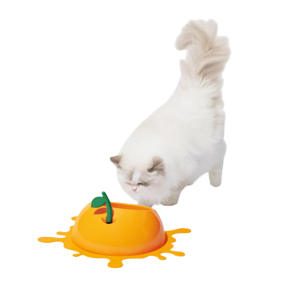 Juicy Tangerine Pet Bowl , Spoon & Mat Set