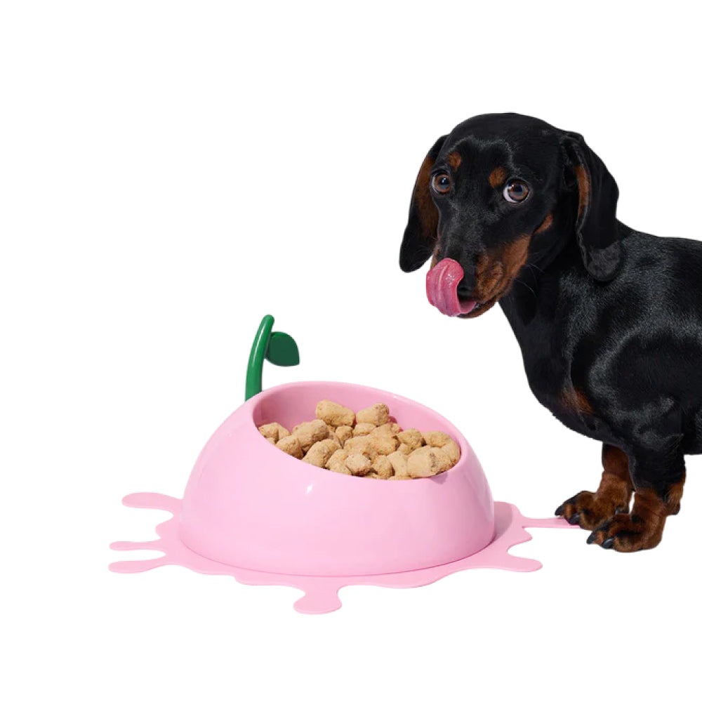 Juicy Peach Pet Bowl , Spoon & Mat Set