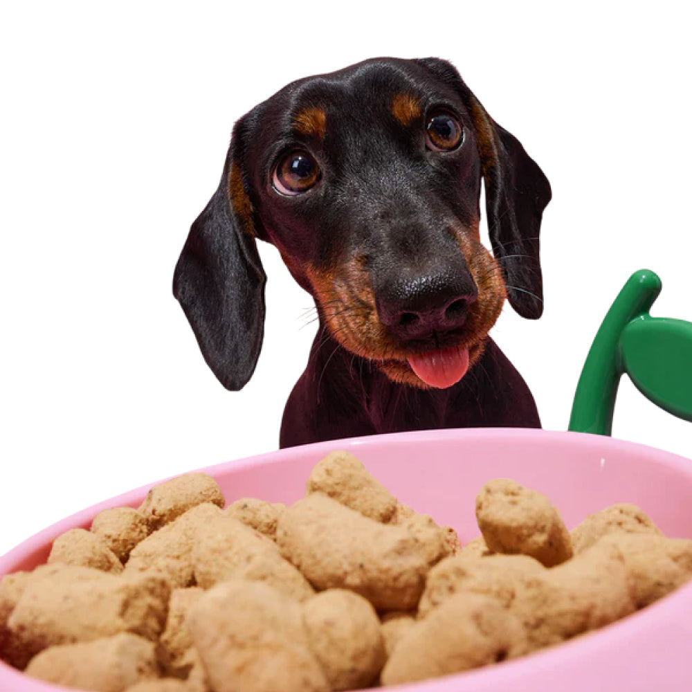 Juicy Peach Pet Bowl , Spoon & Mat Set