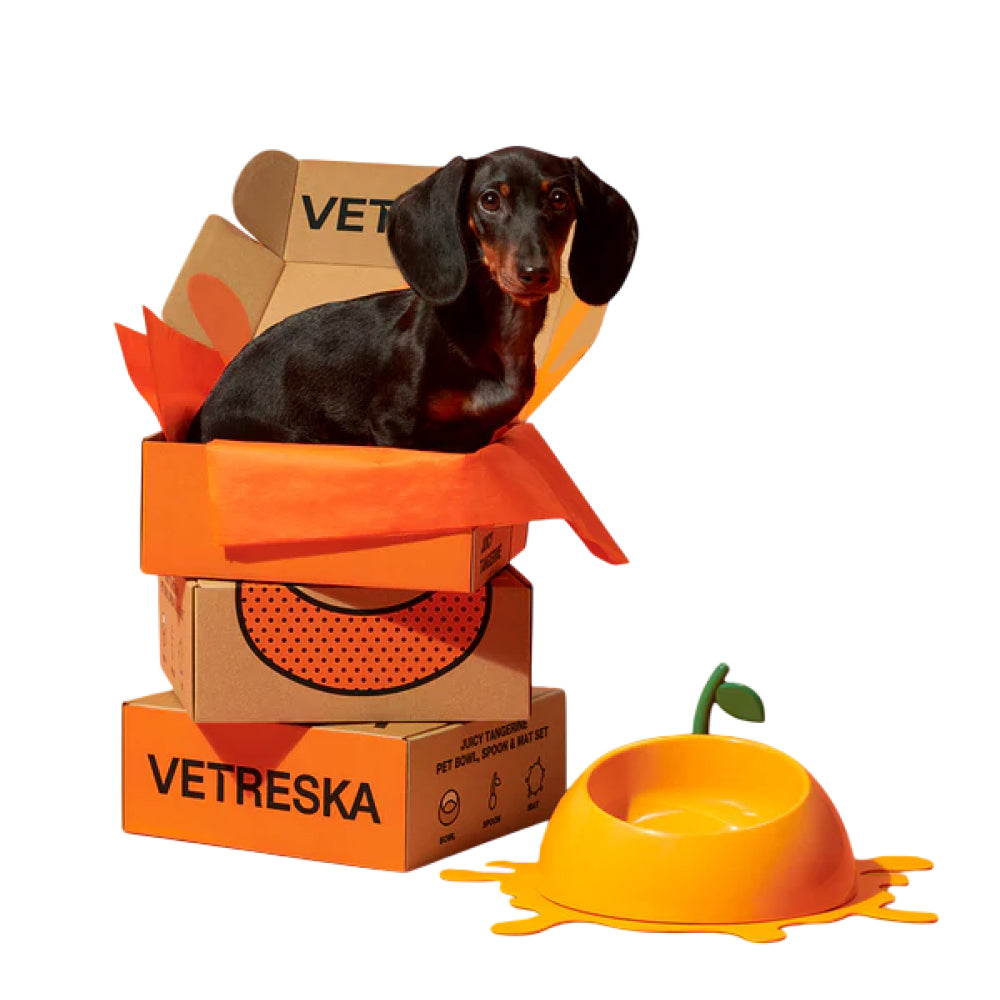 Juicy Tangerine Pet Bowl , Spoon & Mat Set