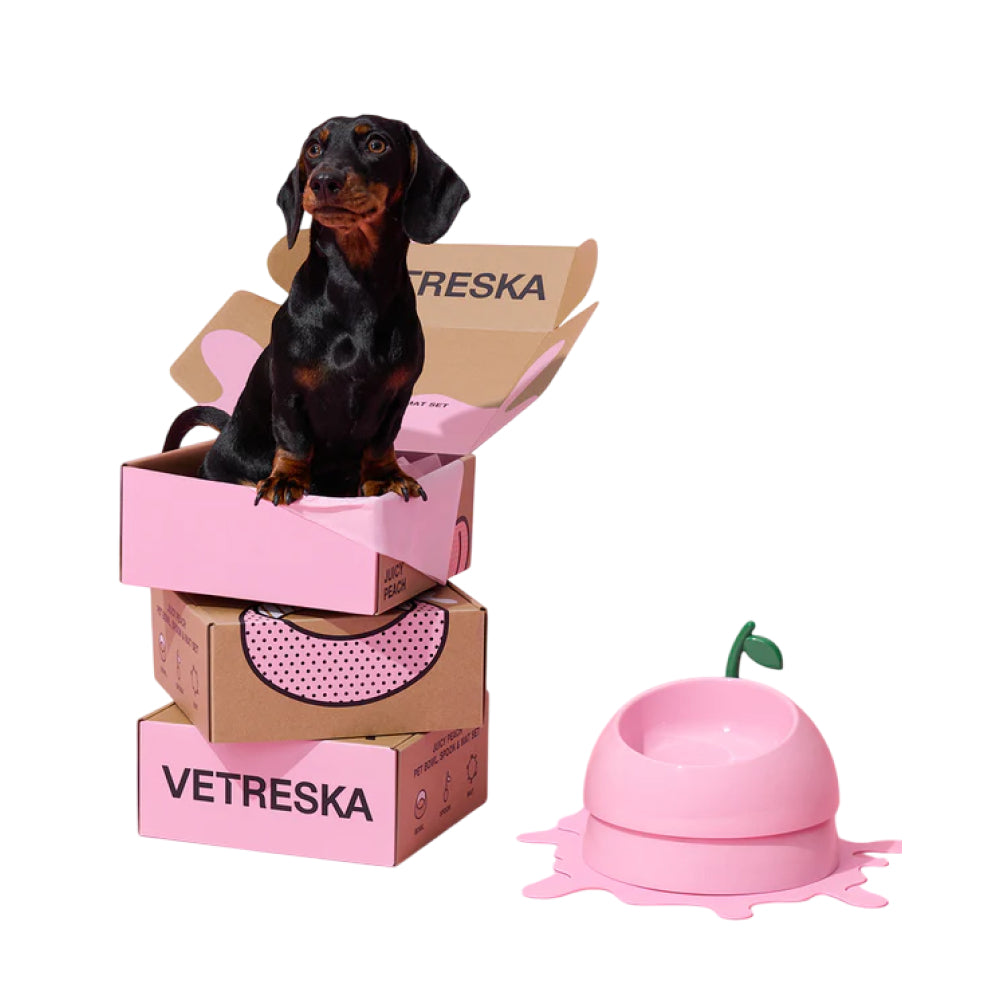 Juicy Peach Pet Bowl , Spoon & Mat Set