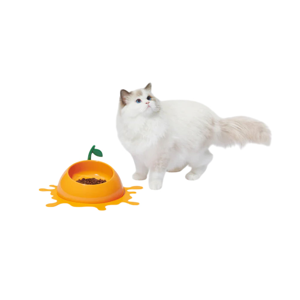 Juicy Tangerine Pet Bowl , Spoon & Mat Set