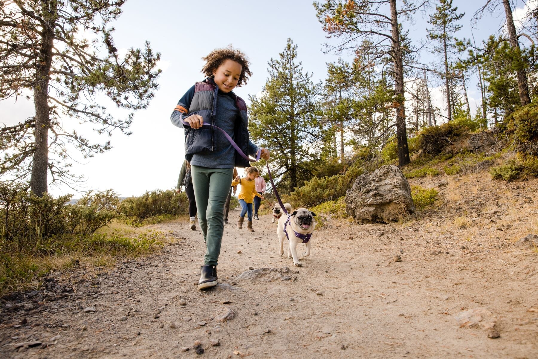 Front Range Dog Harness