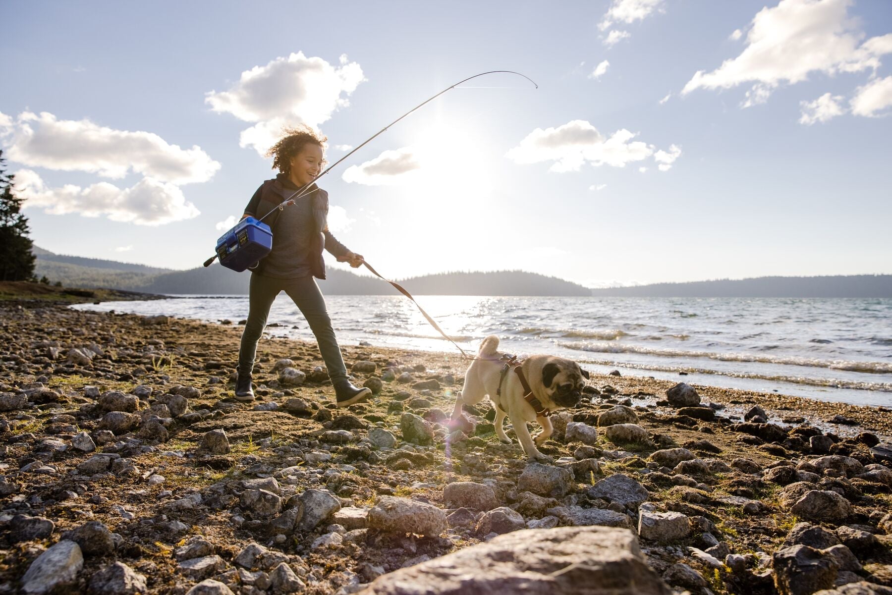Front Range Dog Harness