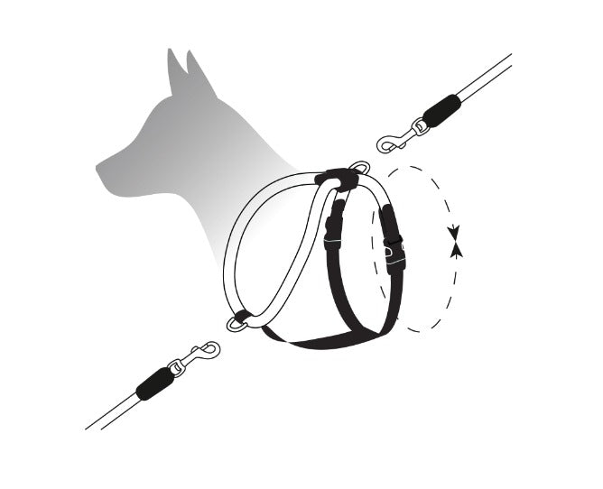 Leisure Rope Adjustable Dog Harness