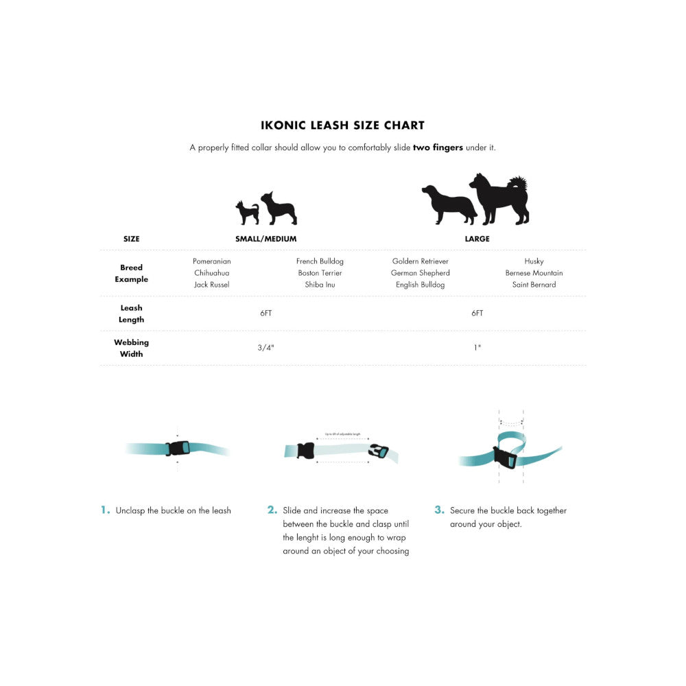 Aqua Waterproof Dog Leash