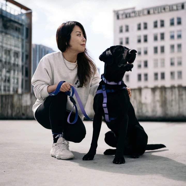 Aqua Waterproof Dog Leash