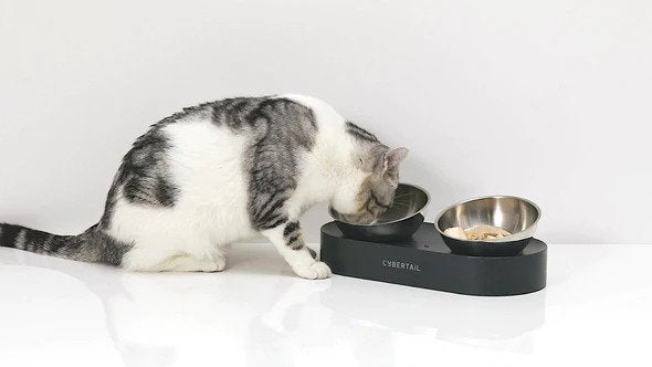 Nano Metal Stainless Cat Bowl