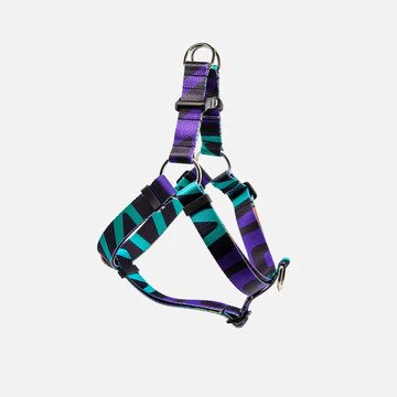 Ikonic Step-In Dog Harness