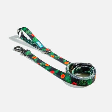 Ikonic Dog Leash
