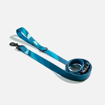 Aqua Waterproof Dog Leash