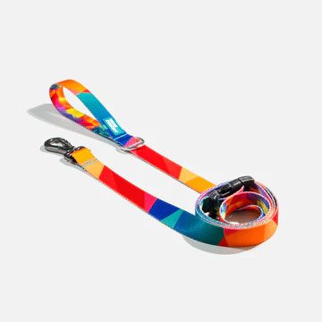 Ikonic Dog Leash