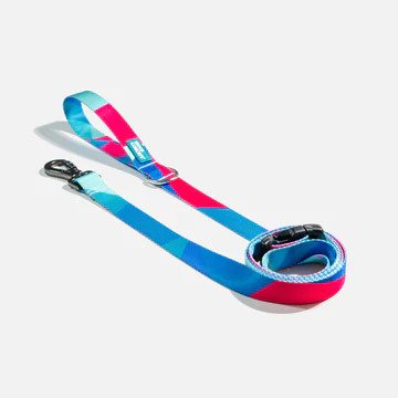 Ikonic Dog Leash