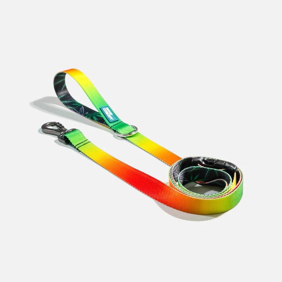 Ikonic Dog Leash