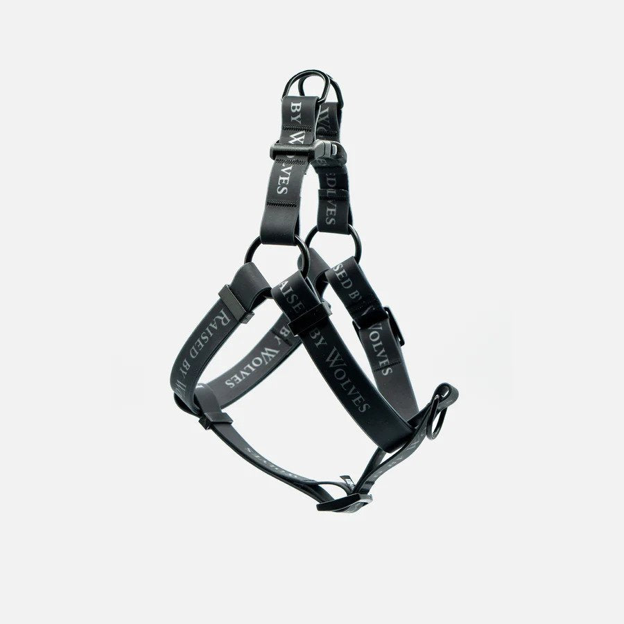 Aqua Waterproof Dog Harness