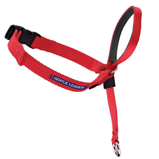 Gentle Leader Dog Head Collar