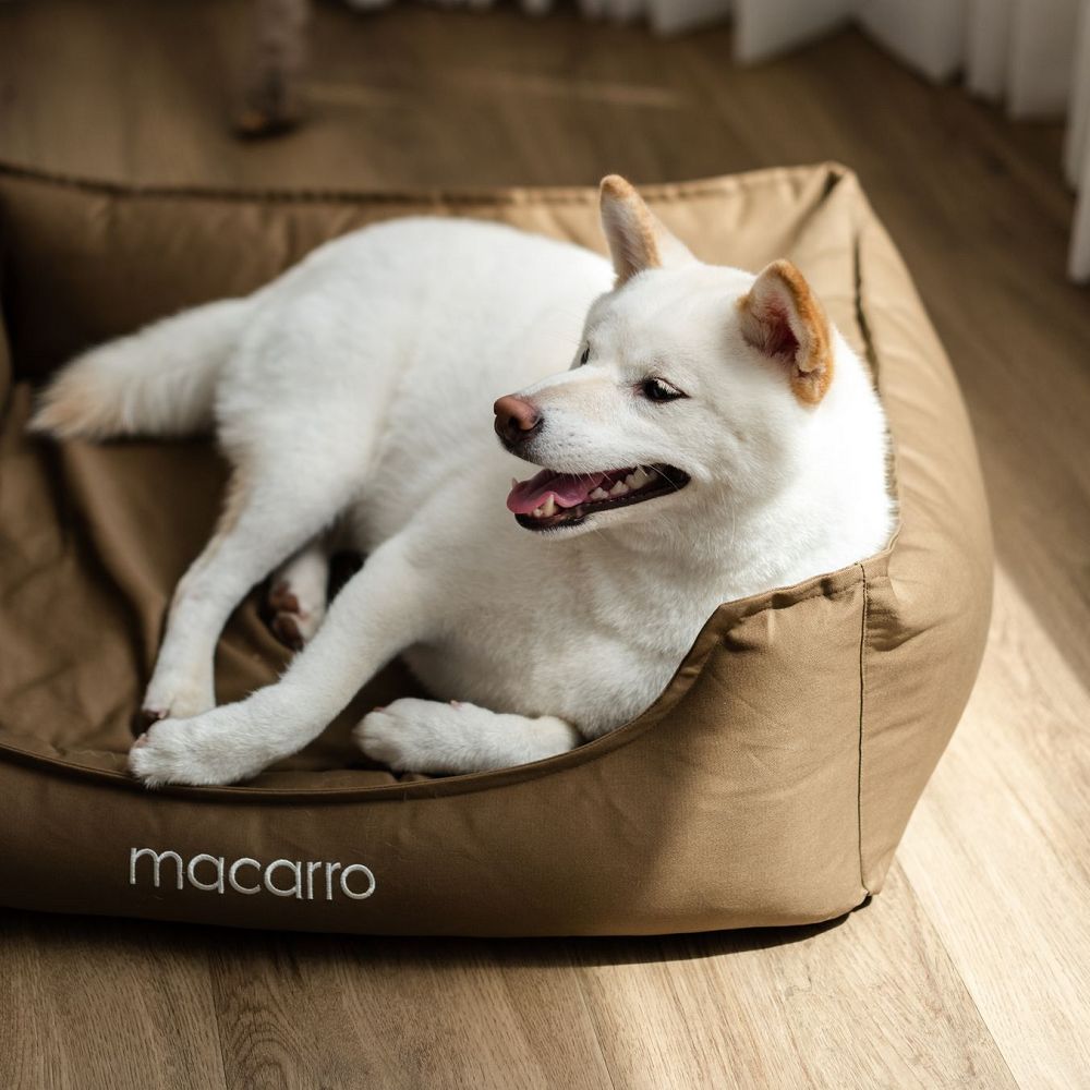 Cotton Latex Bed for Pets