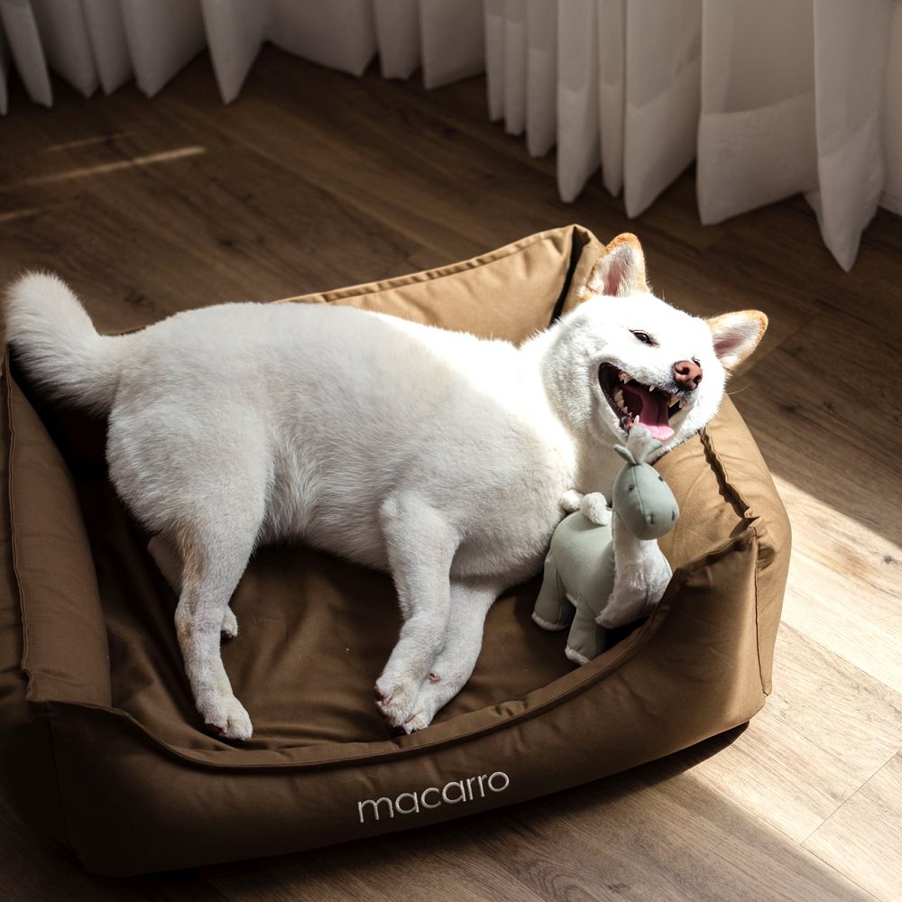 Cotton Latex Bed for Pets