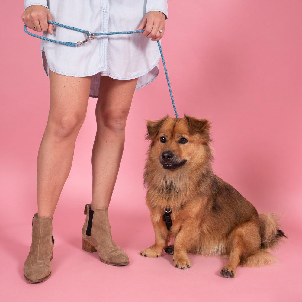 Coupler Leash - Leisure style