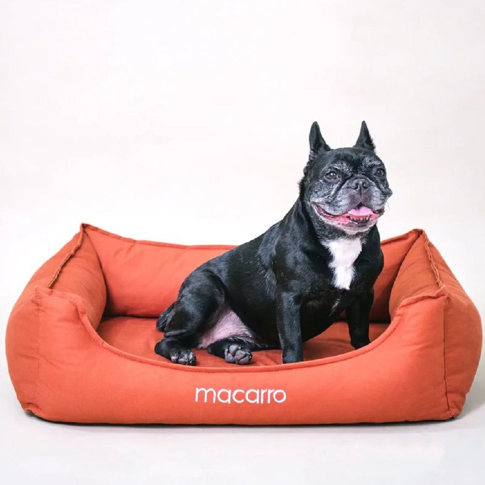 Cotton Latex Bed for Pets