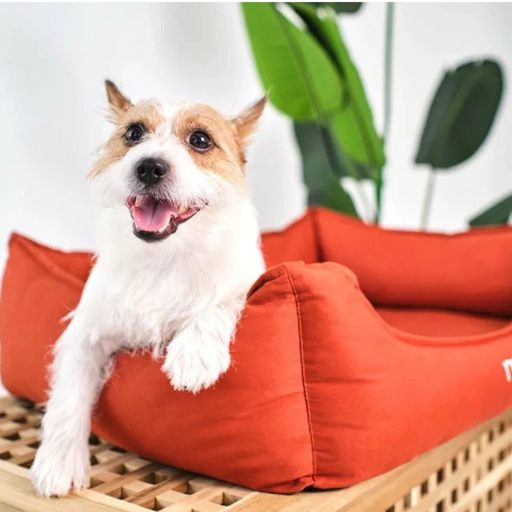 Cotton Latex Bed for Pets
