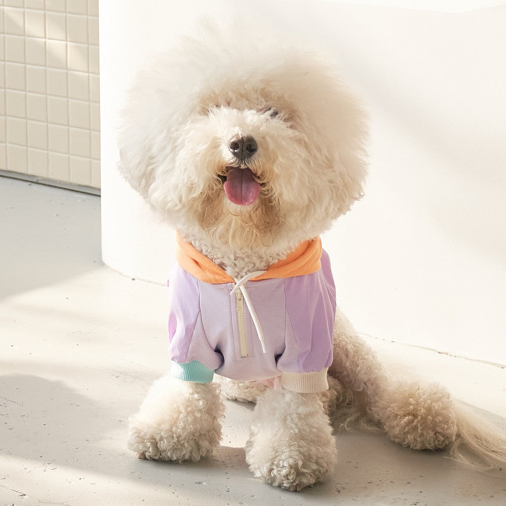 AURORA Reflect Hoodie