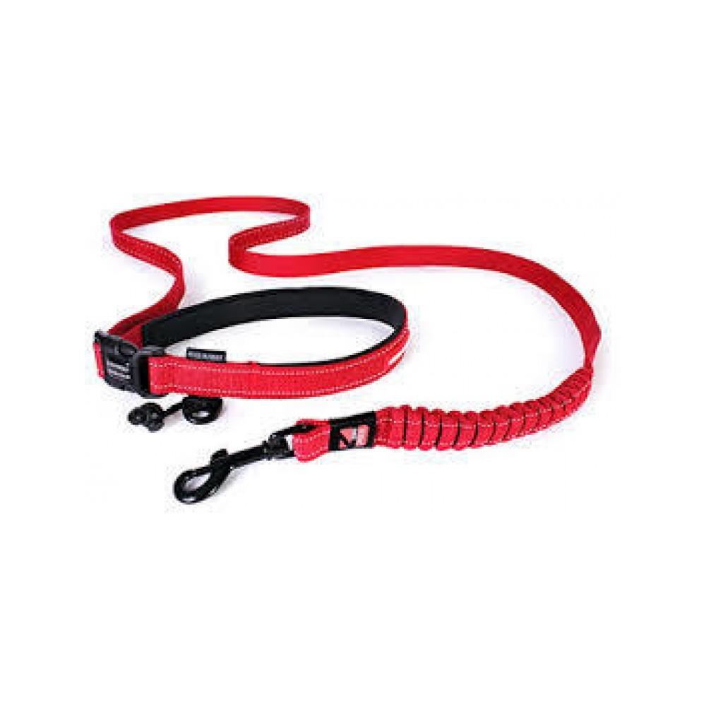 Ezydog - Road Runner Dog Leash Red