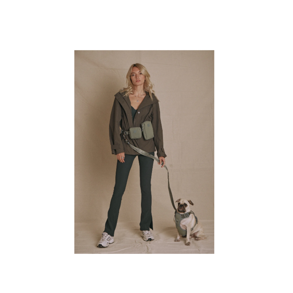 Ease Hands Free Dog Leash