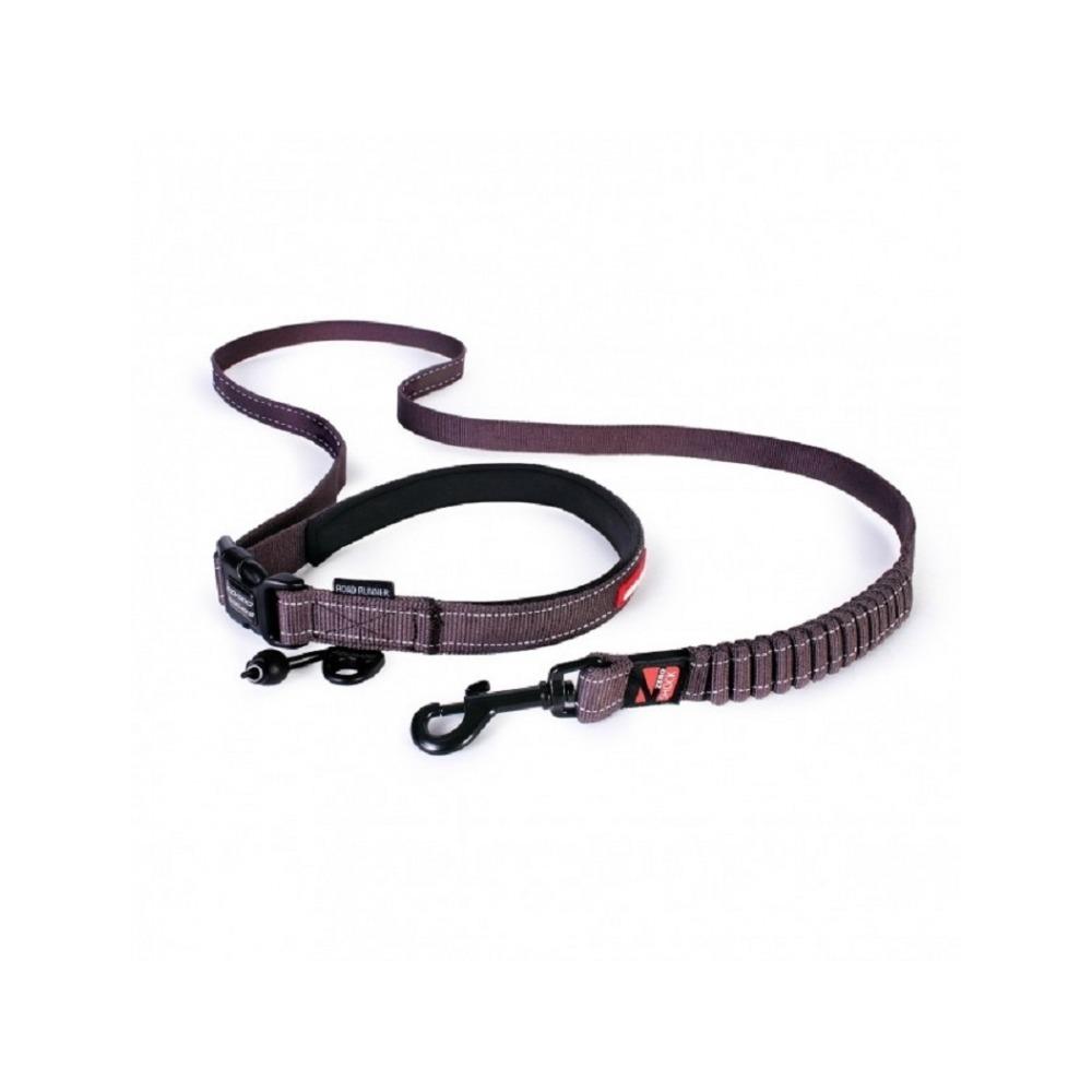 Road Runner Dog Leash