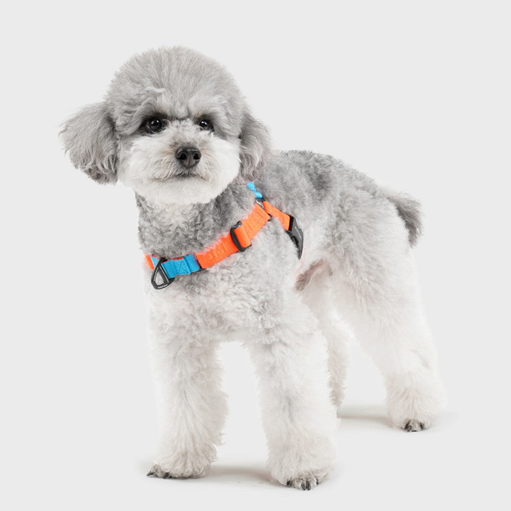 Earthtec Y Strap Dog Harness