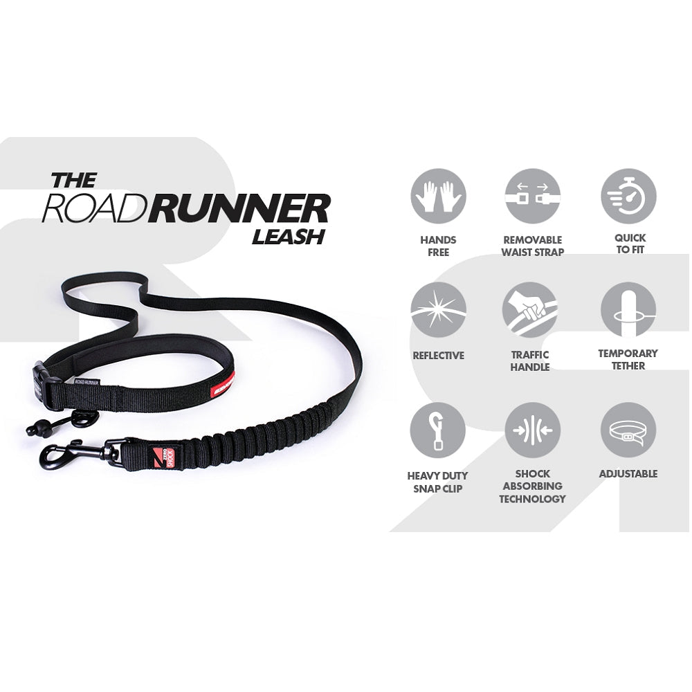 Road Runner Dog Leash