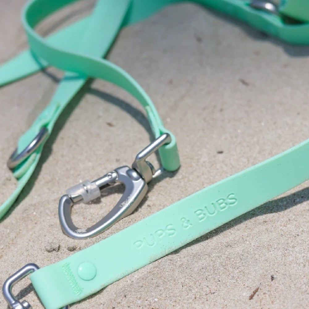 Roam Multi-Way Leash LITE