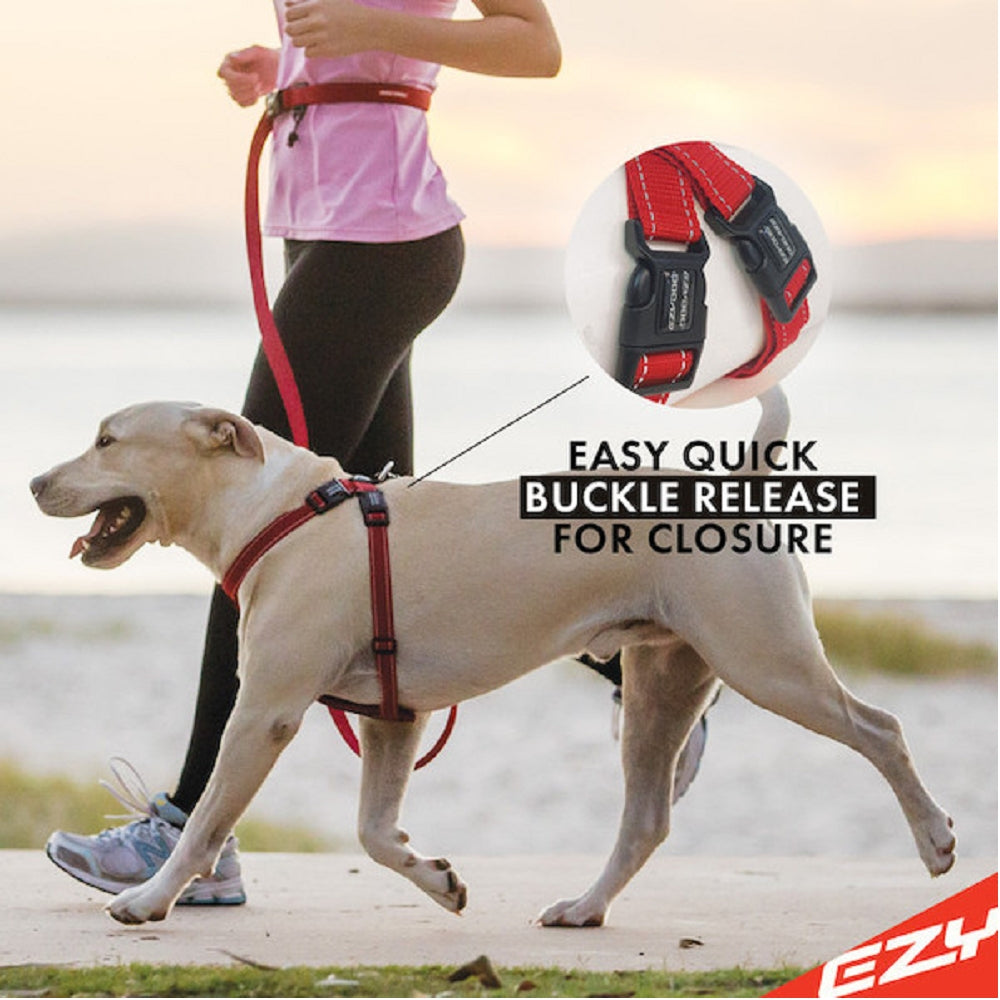 Chestplate Dog Harness