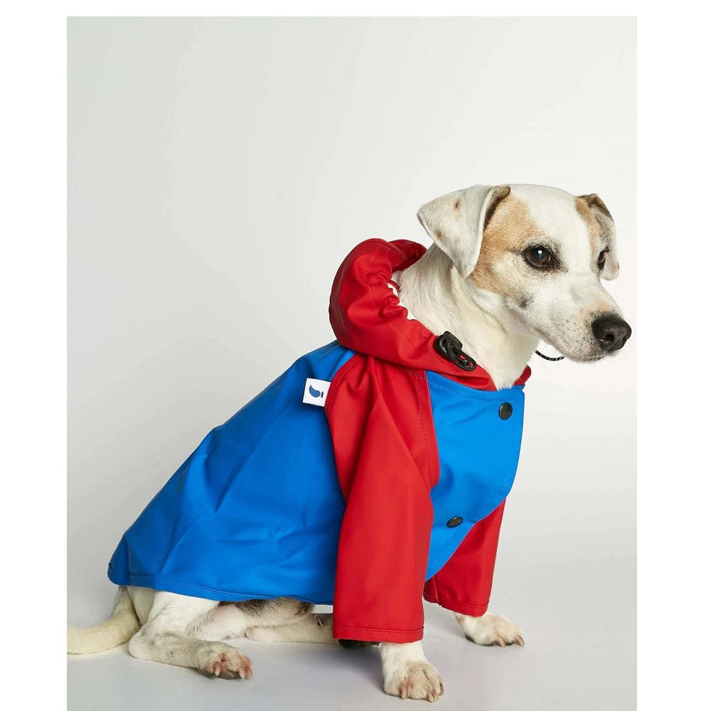 Sarah Raincoat