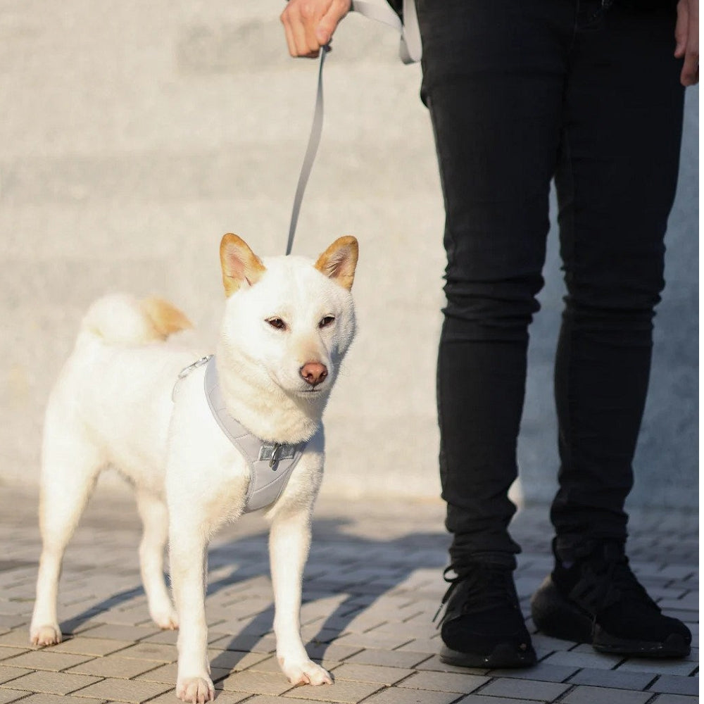 Roam Multi-Way Leash LITE