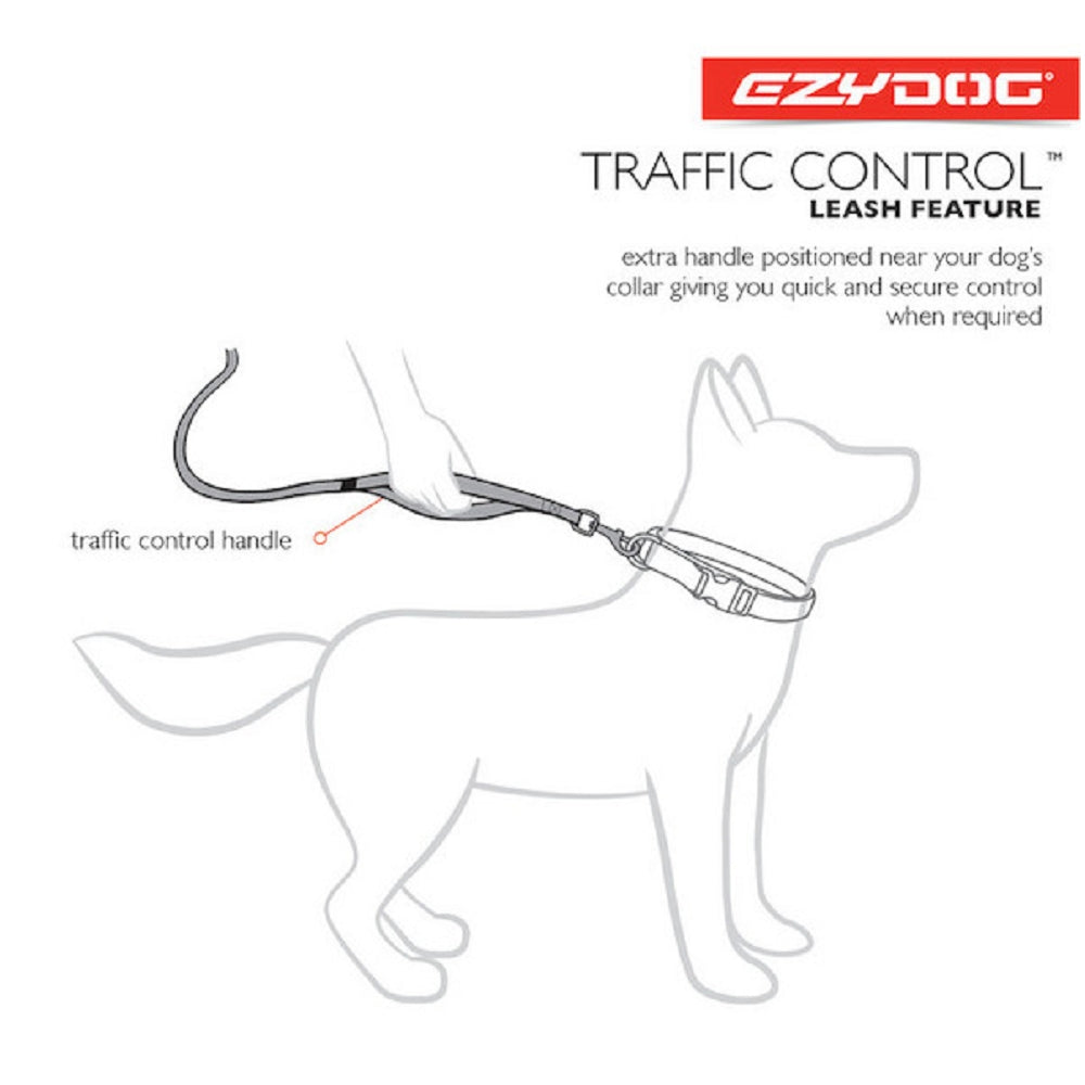Road Runner Dog Leash