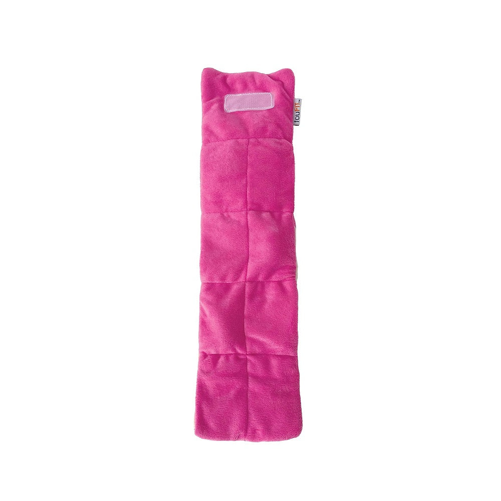 Birthday Roll Hide 'n Seek Dog Toy