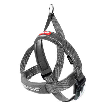 Quick Fit Dog Harness