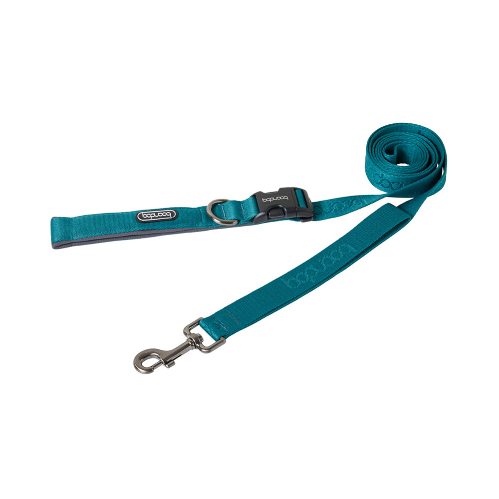 Play Leash 2.0 Dog Leash