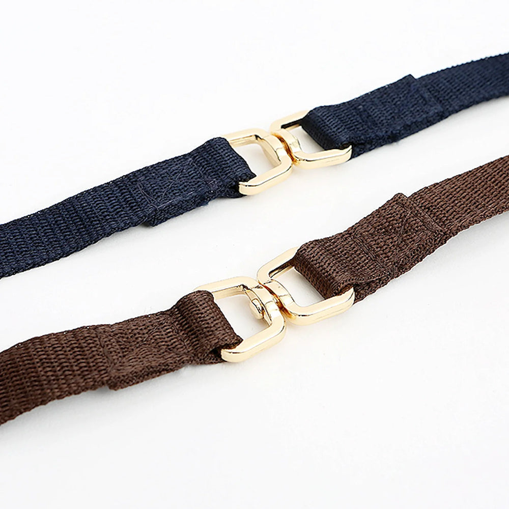 Basic Leash for Dogs & Cats