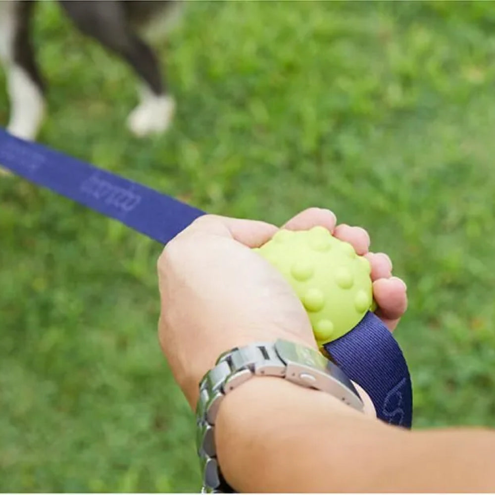 Soft BoonBall for Dog Leash Use