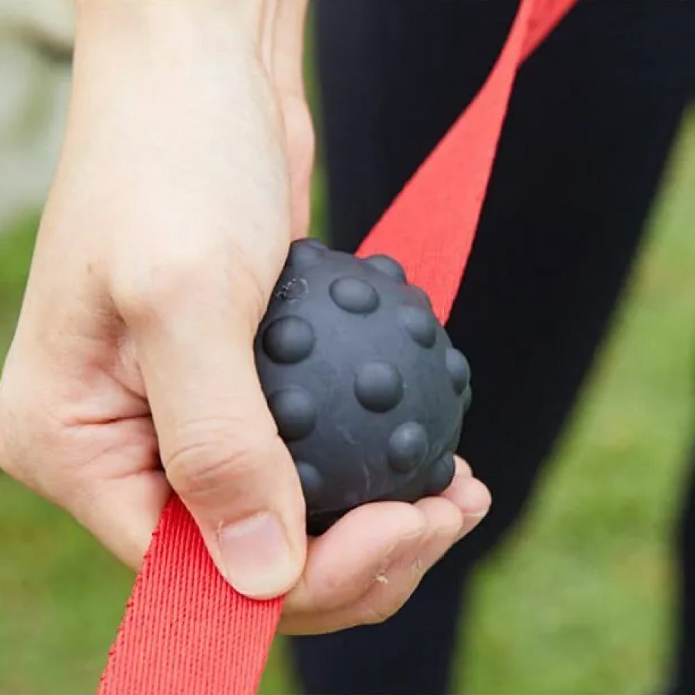Soft BoonBall for Dog Leash Use