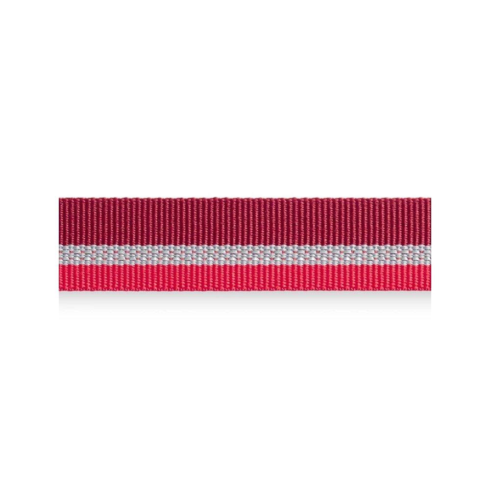 Crag Reflective Dog Leash