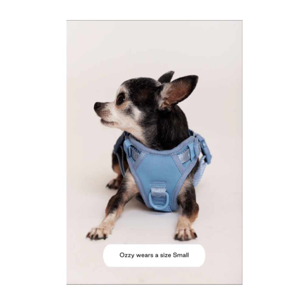 Easy Fit Harness