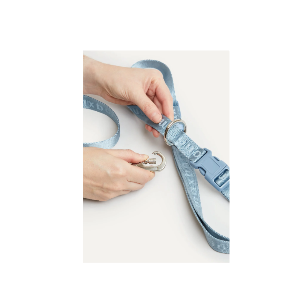Ease Hands Free Dog Leash