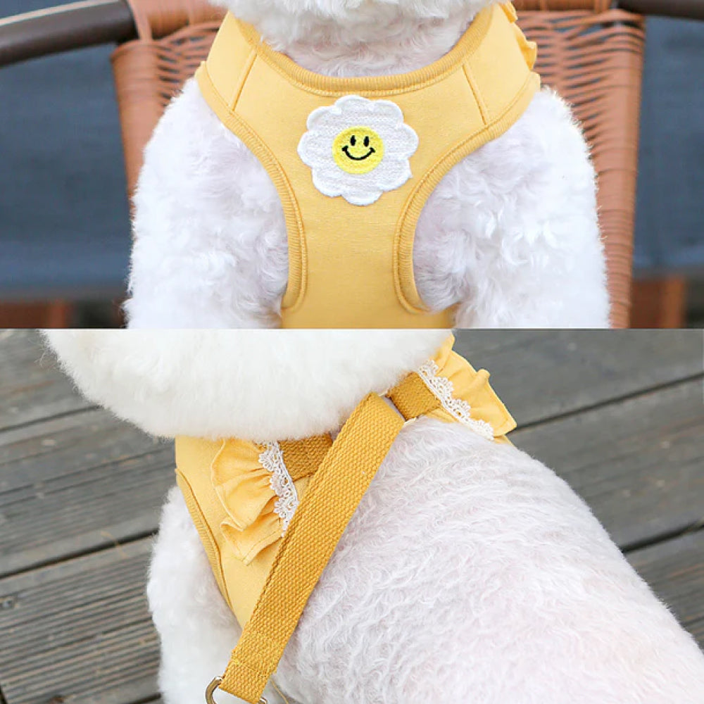 Daisy Frill Harness for Dogs & Cats