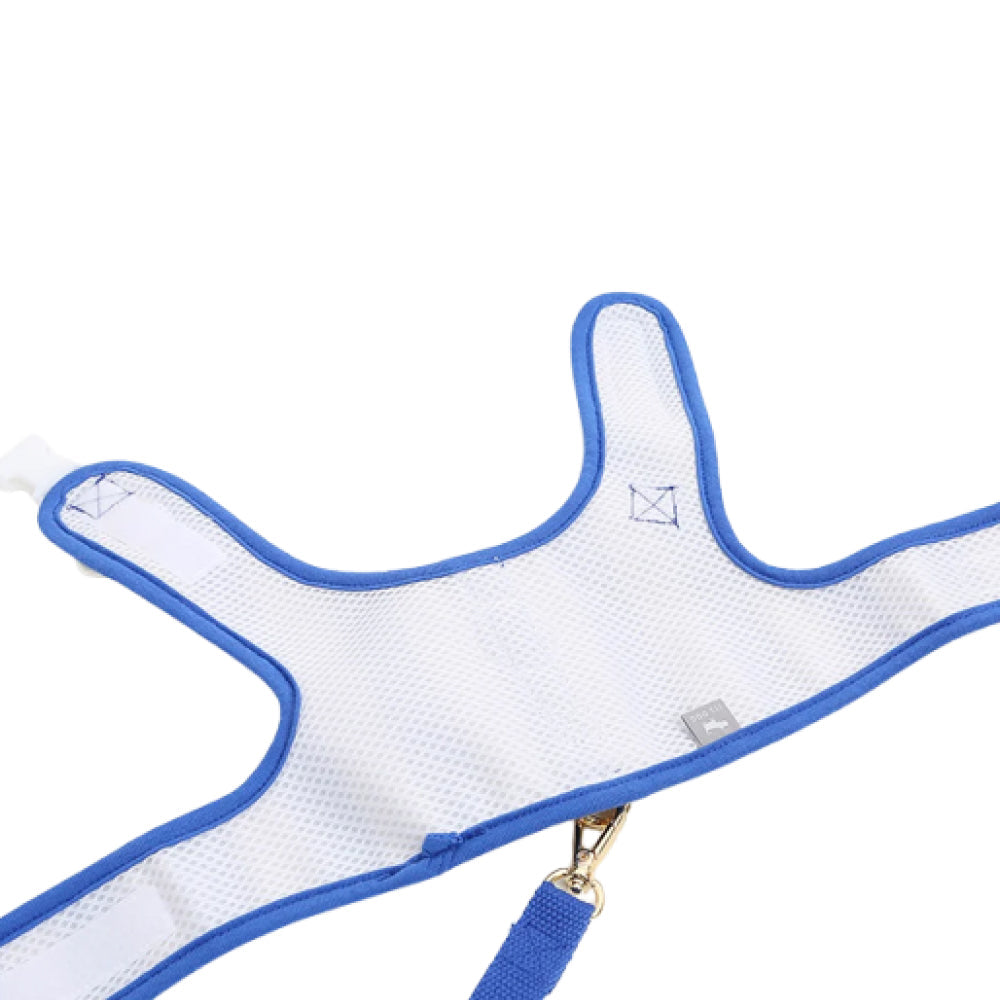 Smile Daisy Harness for Dogs & Cats